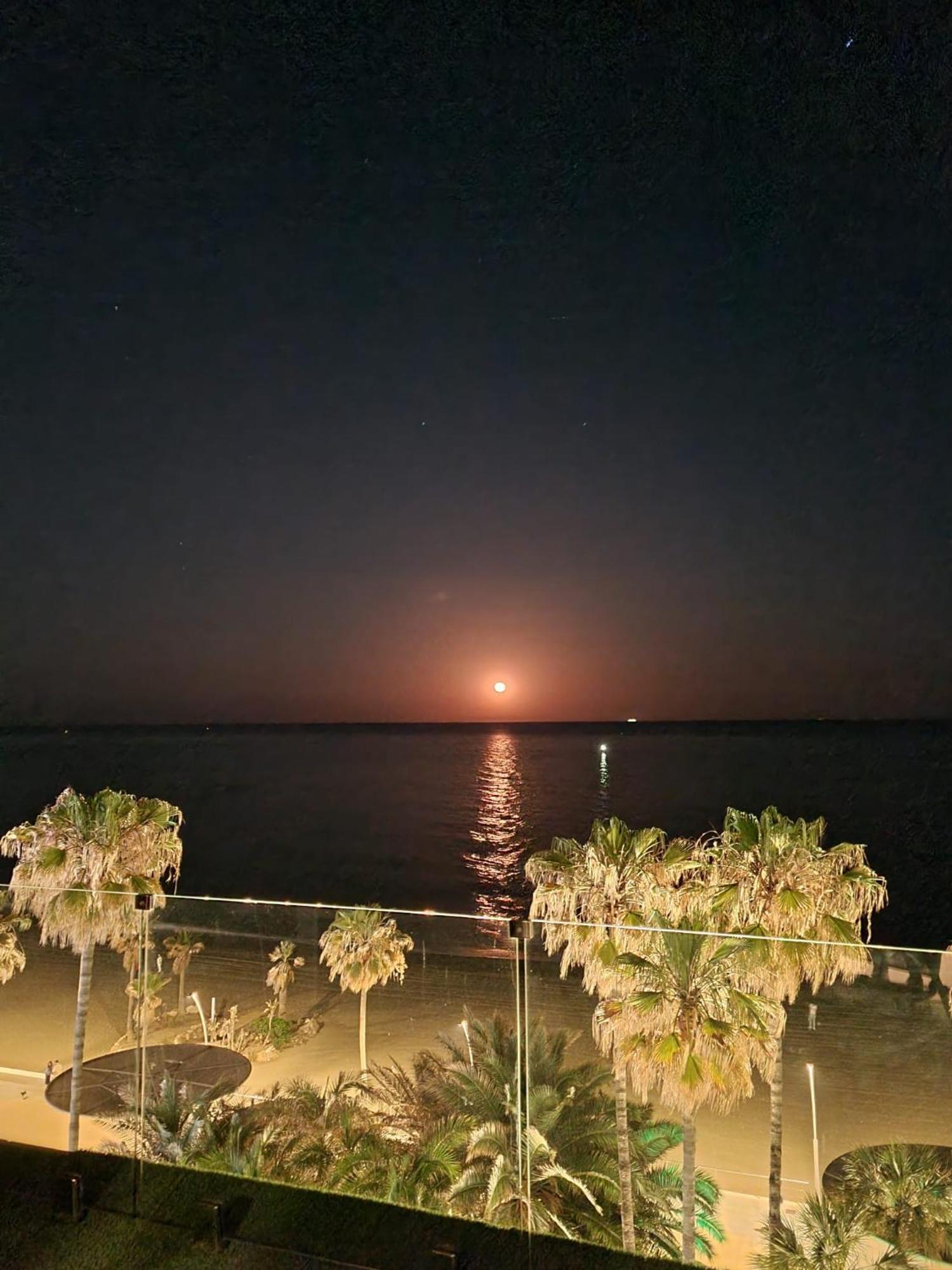 Sunnypalms - Beachfront Penthouse With Stunning Sea View Estepona Zewnętrze zdjęcie
